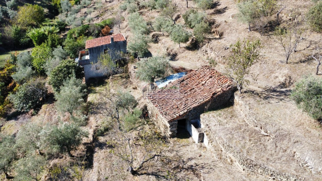 Quinta para Venda em Freixo de Espada a Cinta e Mazouco Foto 10