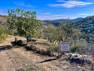 Quinta para Venda em Freixo de Espada a Cinta e Mazouco