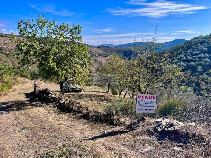 Quinta para Venda em Freixo de Espada a Cinta e Mazouco Foto 18