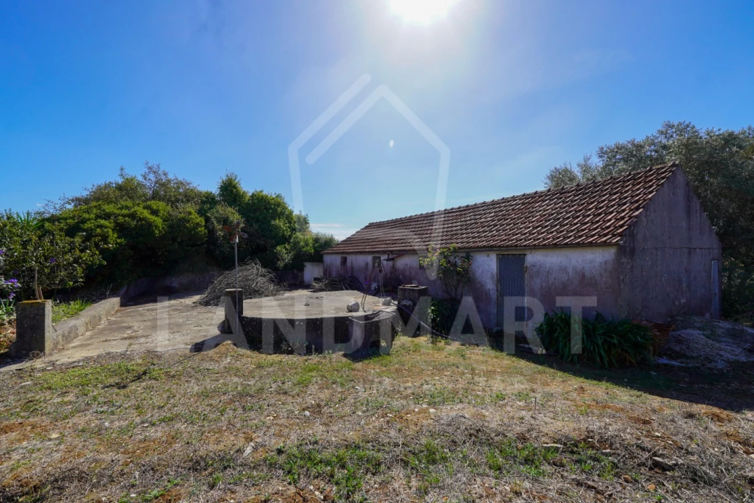 Moradia T2 para Venda em Evora de Alcobaça Foto 18