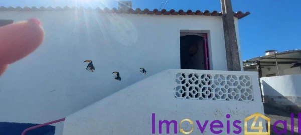 Moradia T3 para Venda em Almodôvar e Graça dos Padrões