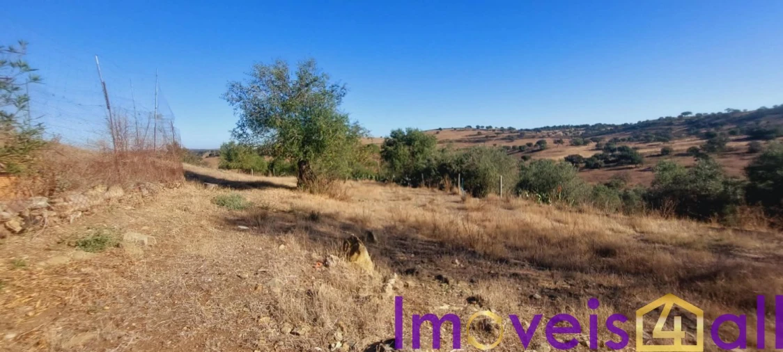 Moradia T3 para Venda em Almodôvar e Graça dos Padrões Foto 41