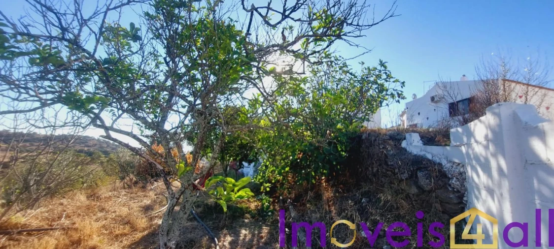 Moradia T3 para Venda em Almodôvar e Graça dos Padrões Foto 45