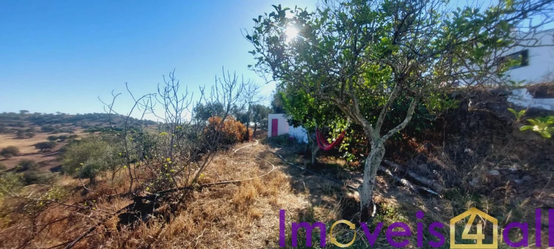 Moradia T3 para Venda em Almodôvar e Graça dos Padrões Foto 47