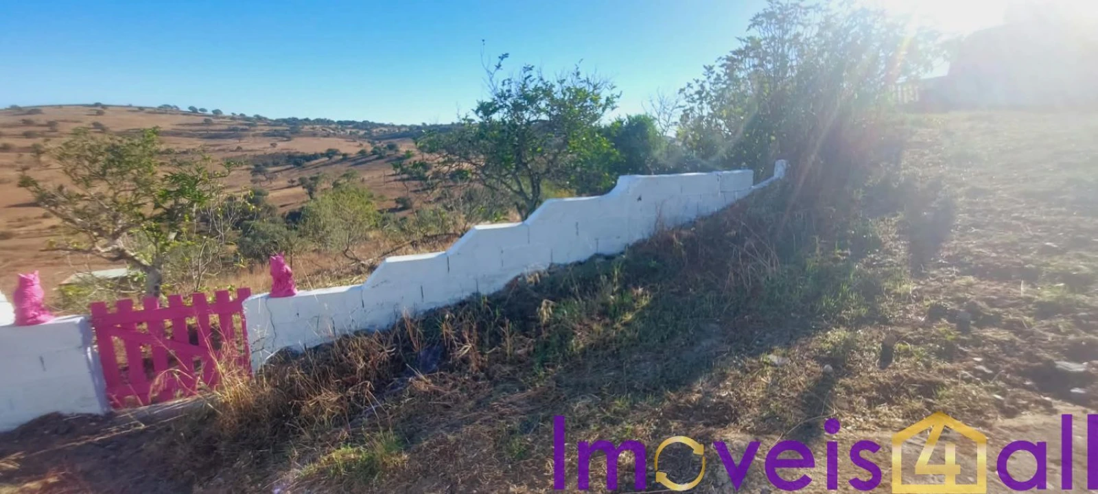 Moradia T3 para Venda em Almodôvar e Graça dos Padrões Foto 43