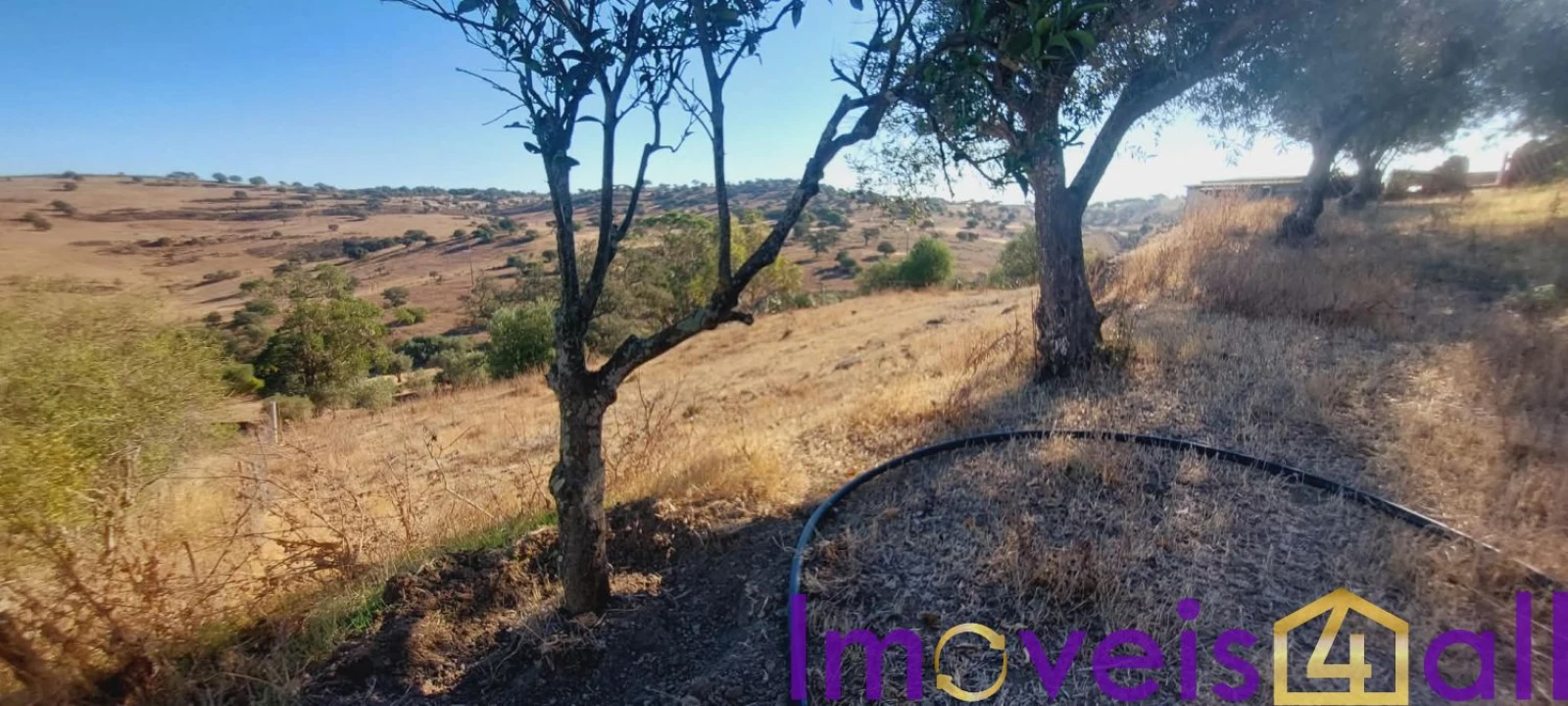 Moradia T3 para Venda em Almodôvar e Graça dos Padrões Foto 40