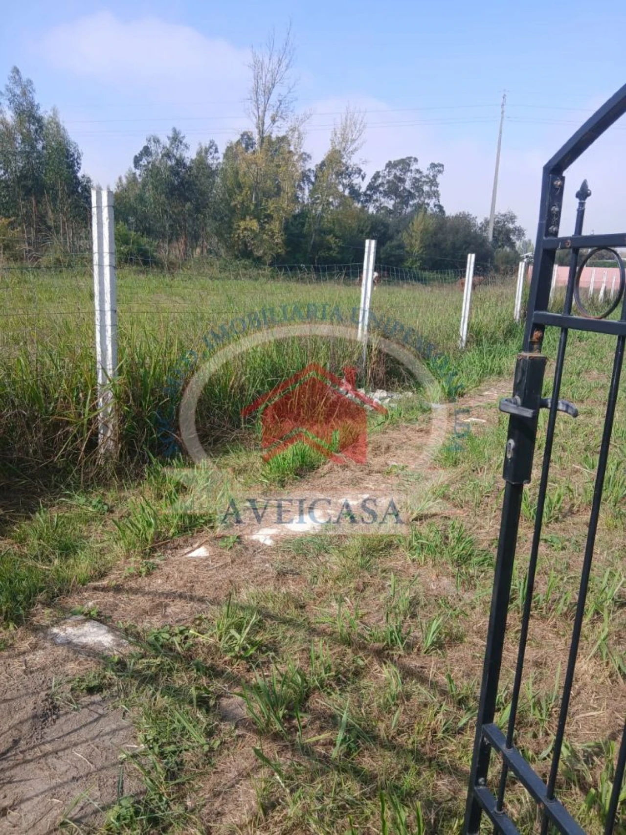 Terreno para Venda em Aradas Foto 3