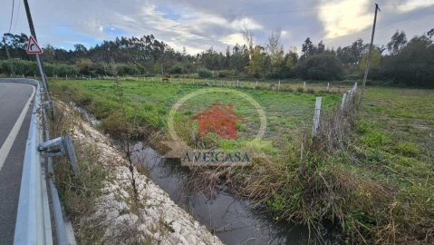 Terreno para Venda em Aradas