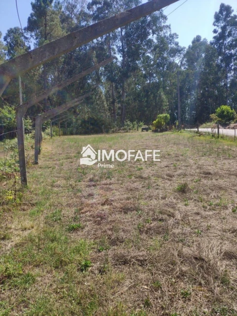 Terreno para Venda em Regadas