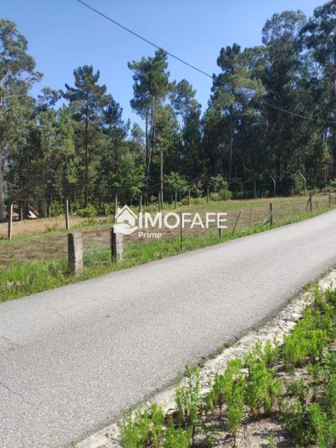 Terreno para Venda em Regadas