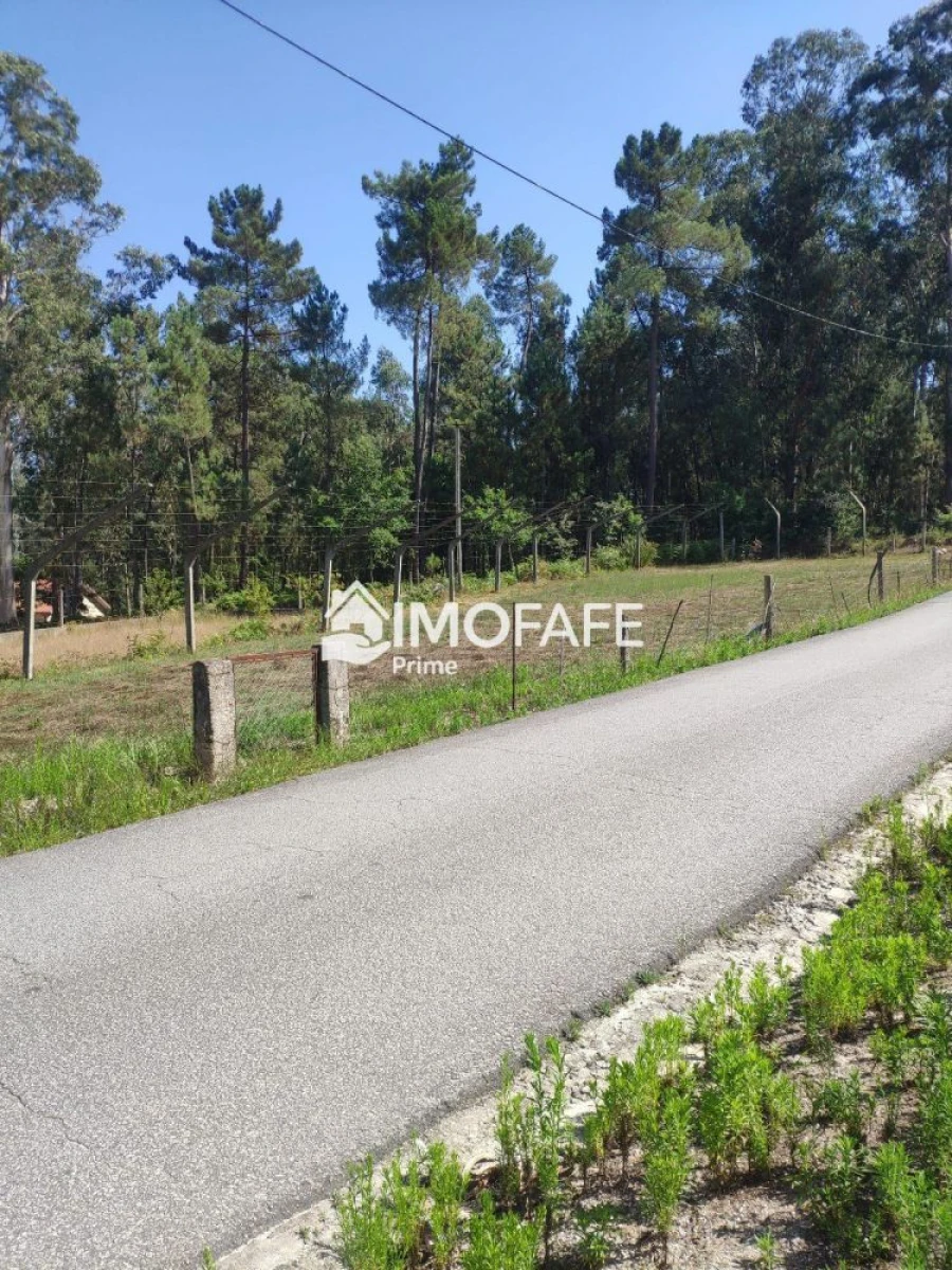Terreno para Venda em Regadas Foto 3