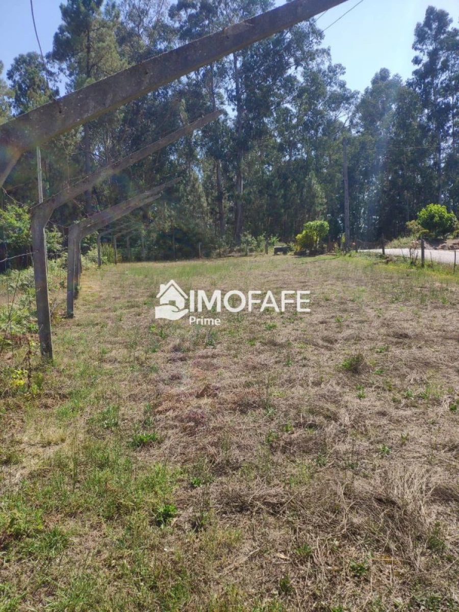 Terreno para Venda em Regadas Foto 5