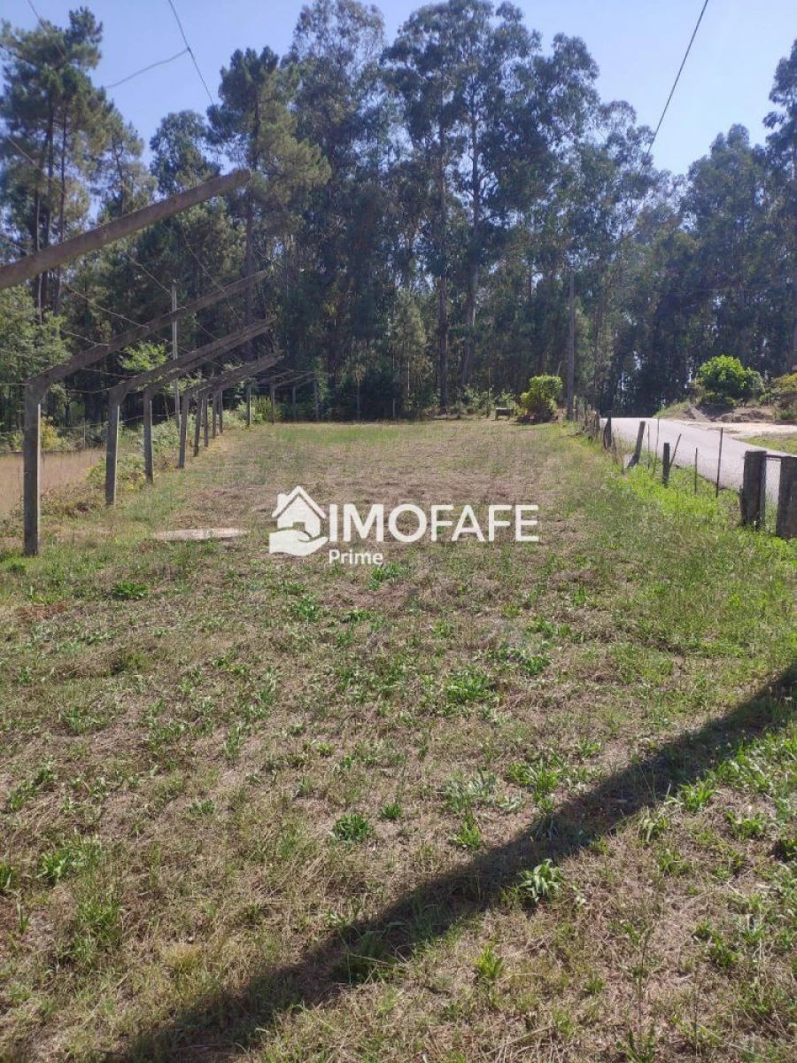 Terreno para Venda em Regadas Foto 15