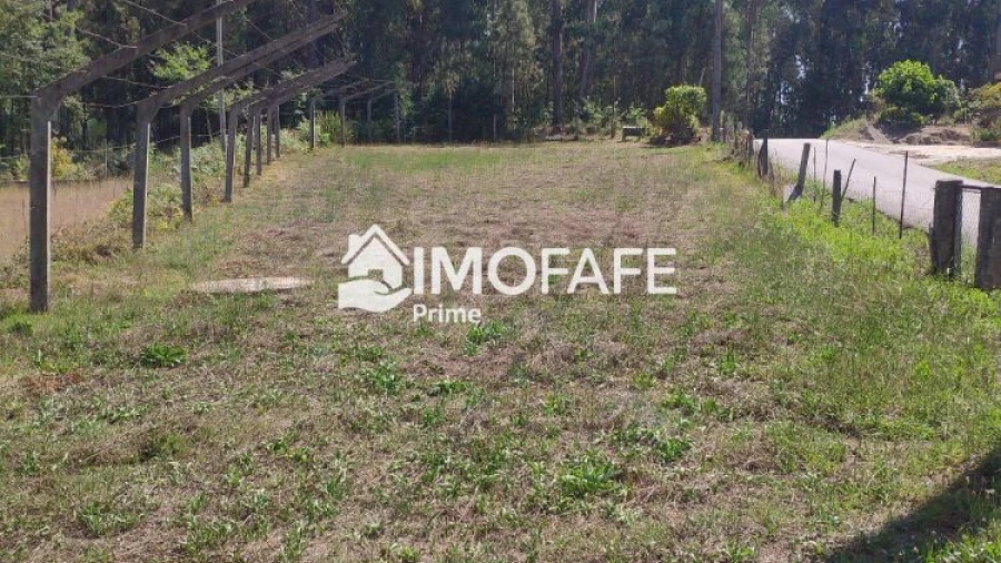 Terreno para Venda em Regadas