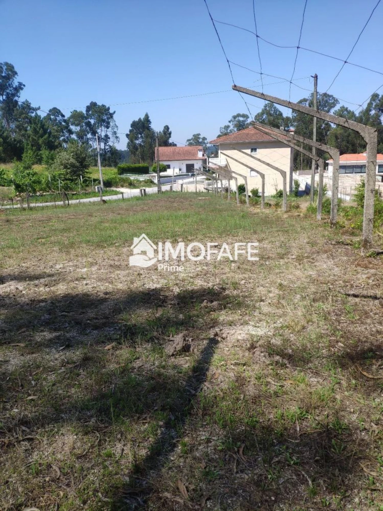 Terreno para Venda em Regadas Foto 7