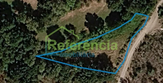 Terreno para Venda em Redondelo