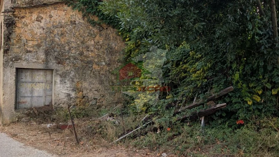 Moradia T0 para Venda em Pedrogão Grande