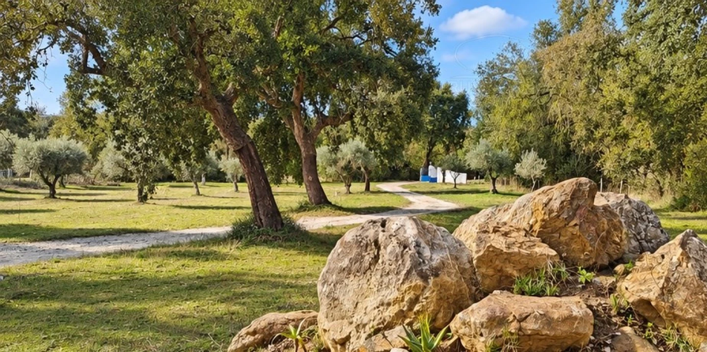 Quinta T1 para Venda em Nossa Senhora da Vila, Nossa Senhora do Bispo e Silveiras Foto 27