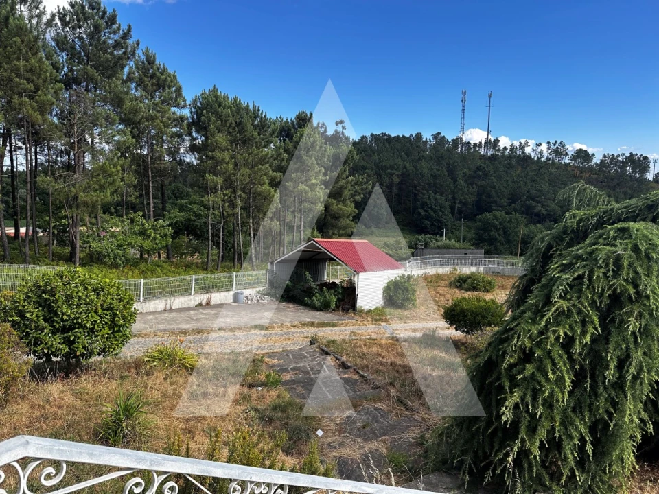 Moradia T4 para Venda em Castro Daire Foto 42
