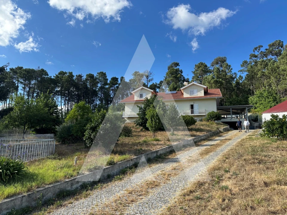 Moradia T4 para Venda em Castro Daire Foto 53