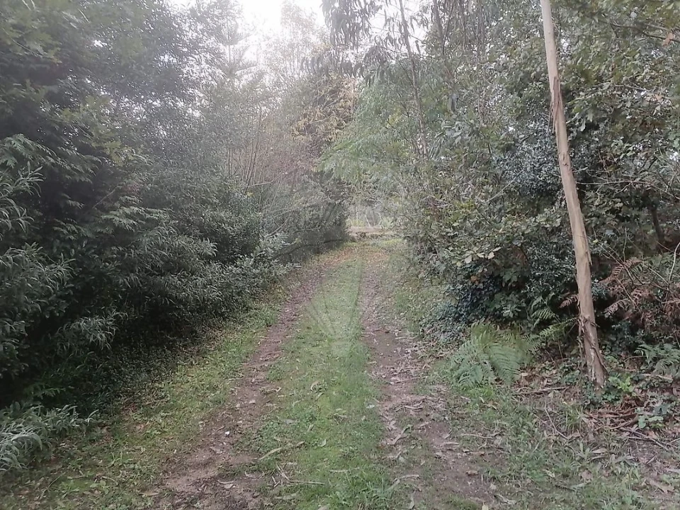 Terreno para Venda em São Miguel do Souto e Mosteirô Foto 13