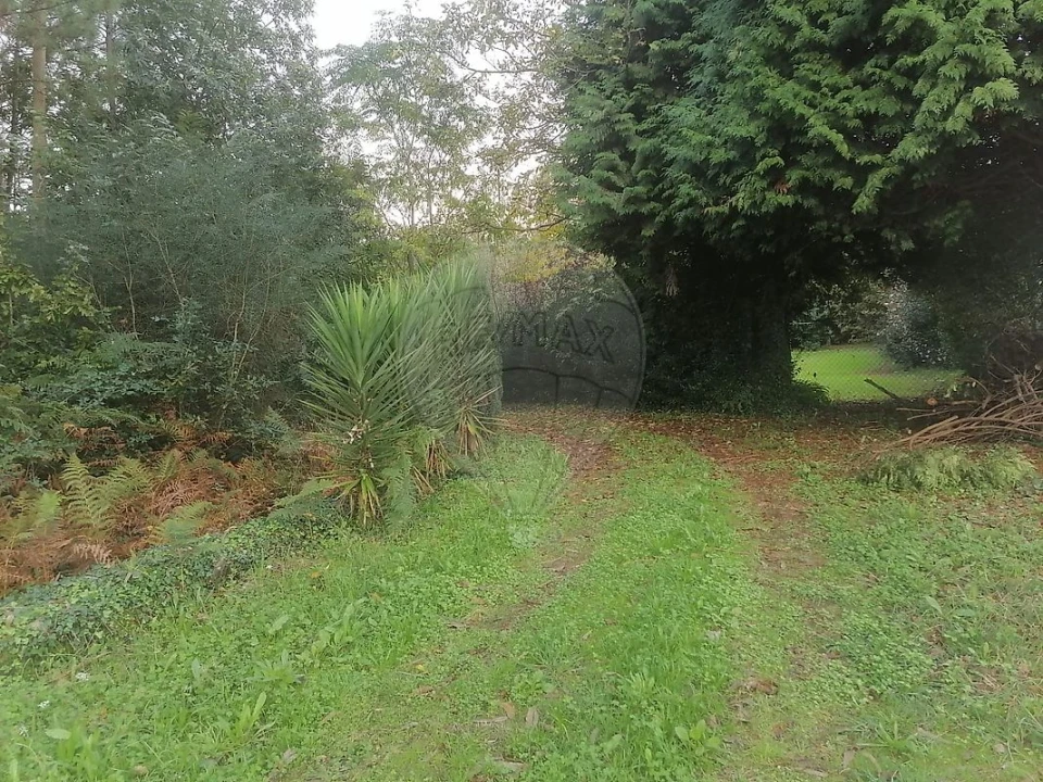 Terreno para Venda em São Miguel do Souto e Mosteirô Foto 10