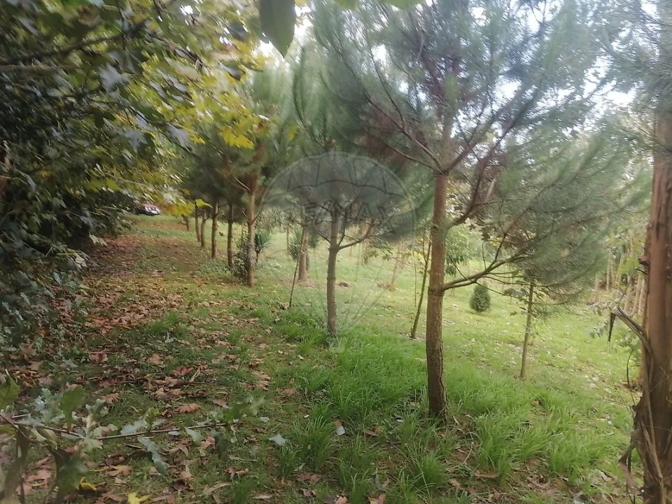Terreno para Venda em São Miguel do Souto e Mosteirô Foto 16
