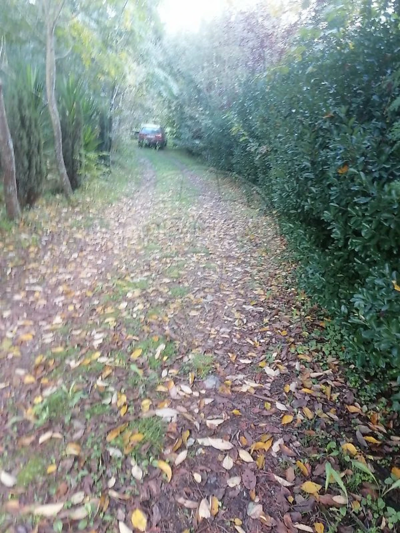 Terreno para Venda em São Miguel do Souto e Mosteirô Foto 7