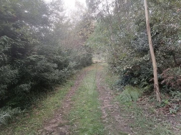 Terreno para Venda em São Miguel do Souto e Mosteirô