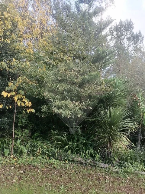 Terreno para Venda em São Miguel do Souto e Mosteirô