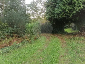 Terreno para Venda em São Miguel do Souto e Mosteirô