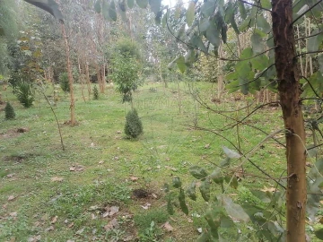 Terreno para Venda em São Miguel do Souto e Mosteirô
