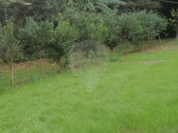 Terreno para Venda em São Miguel do Souto e Mosteirô