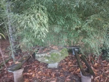 Terreno para Venda em São Miguel do Souto e Mosteirô