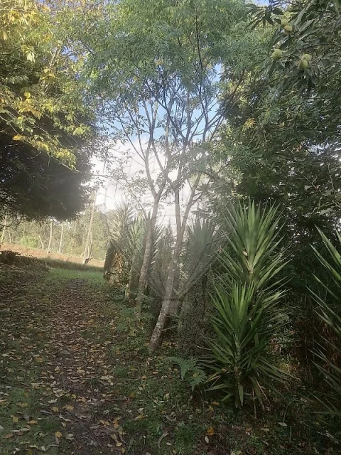 Terreno para Venda em São Miguel do Souto e Mosteirô