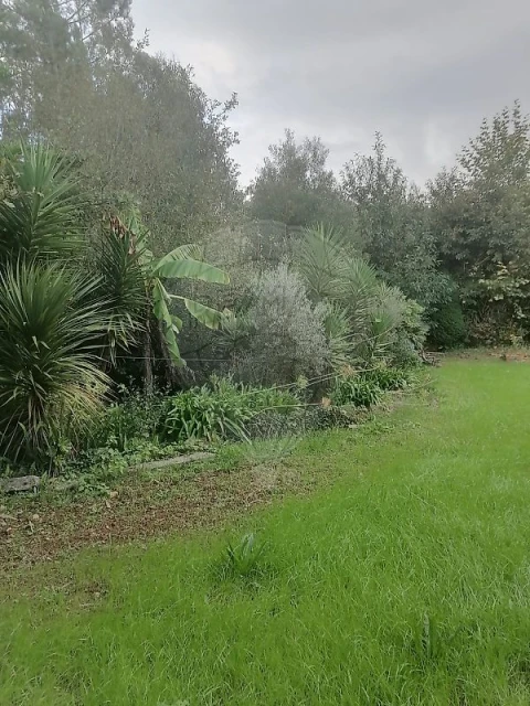 Terreno para Venda em São Miguel do Souto e Mosteirô