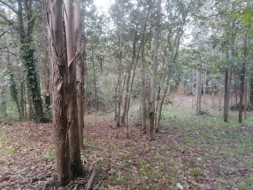 Terreno para Venda em São Miguel do Souto e Mosteirô