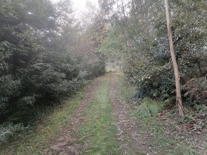 Terreno para Venda em São Miguel do Souto e Mosteirô Foto 13