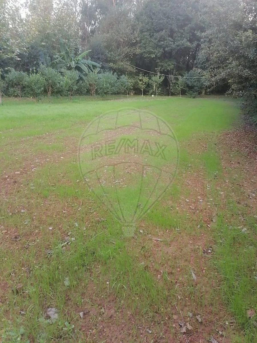 Terreno para Venda em São Miguel do Souto e Mosteirô Foto 4