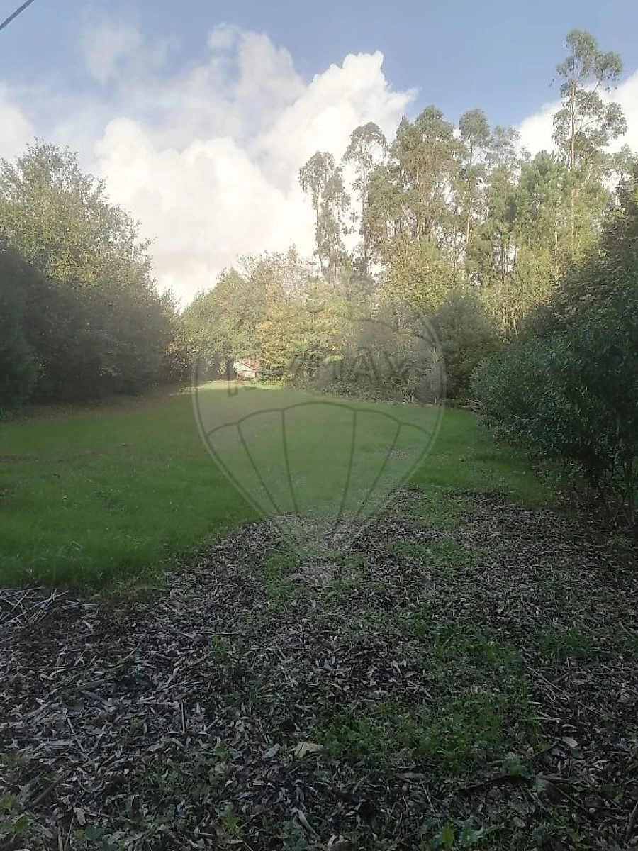 Terreno para Venda em São Miguel do Souto e Mosteirô Foto 3