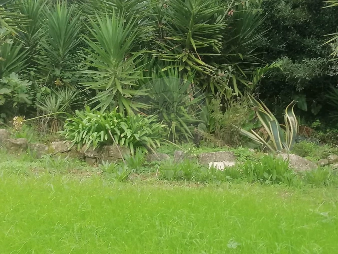 Terreno para Venda em São Miguel do Souto e Mosteirô Foto 22
