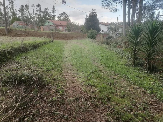 Terreno para Venda em São Miguel do Souto e Mosteirô Foto 24