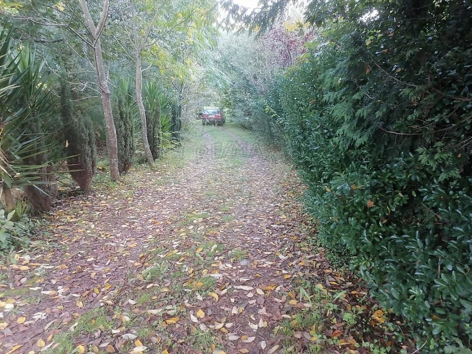 Terreno para Venda em São Miguel do Souto e Mosteirô Foto 9