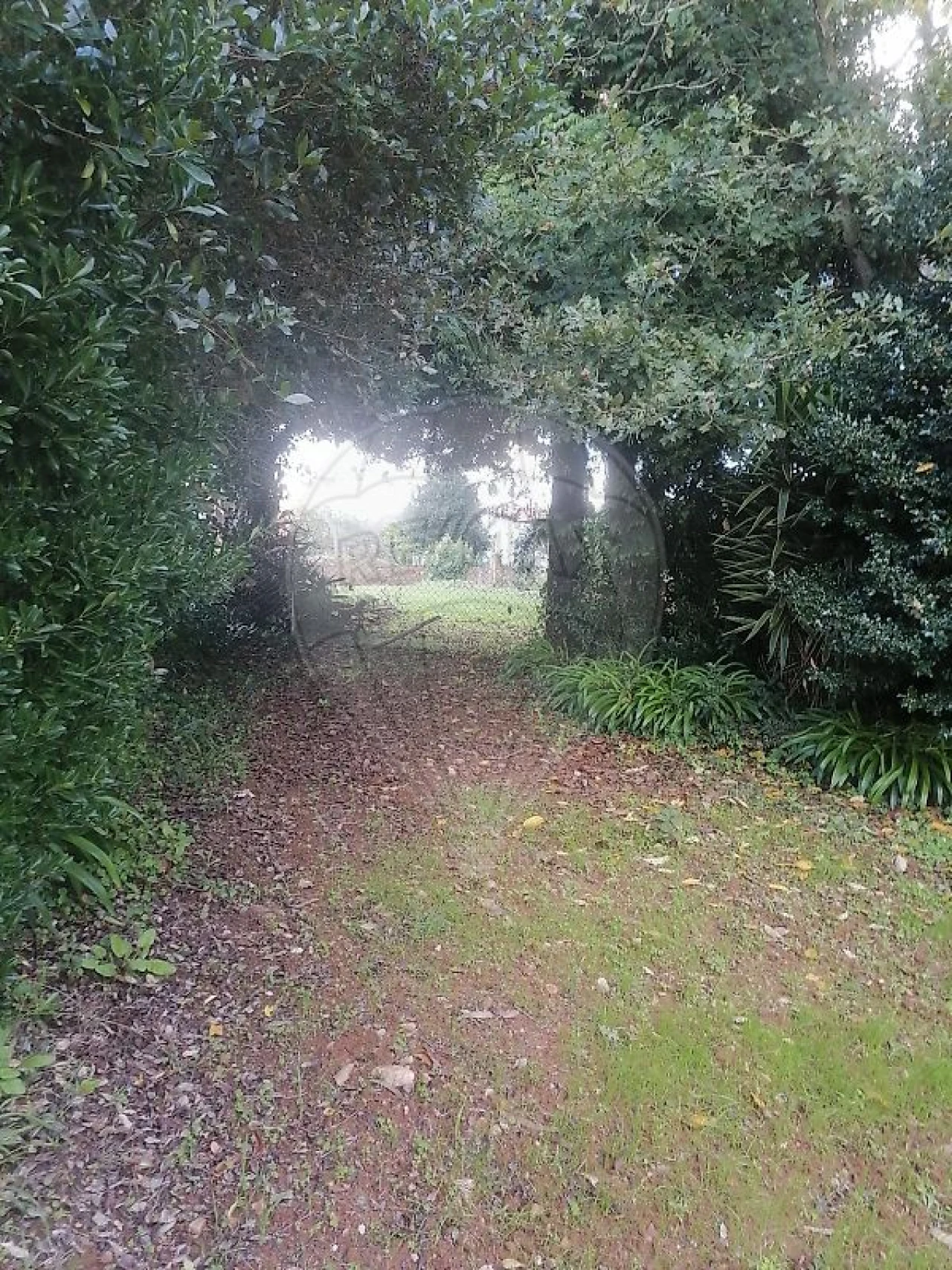 Terreno para Venda em São Miguel do Souto e Mosteirô Foto 8