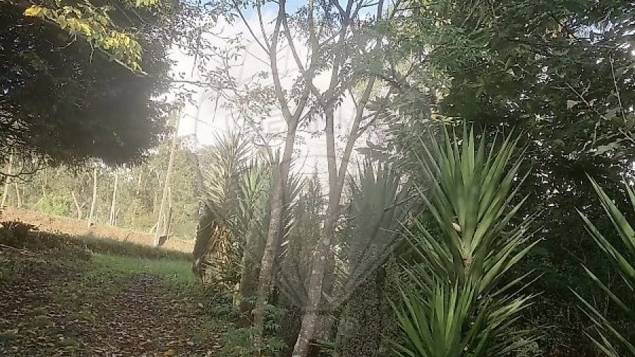 Terreno para Venda em São Miguel do Souto e Mosteirô