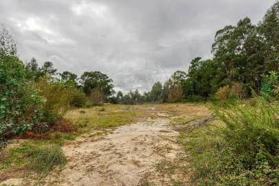 Terreno para Venda em Regadas