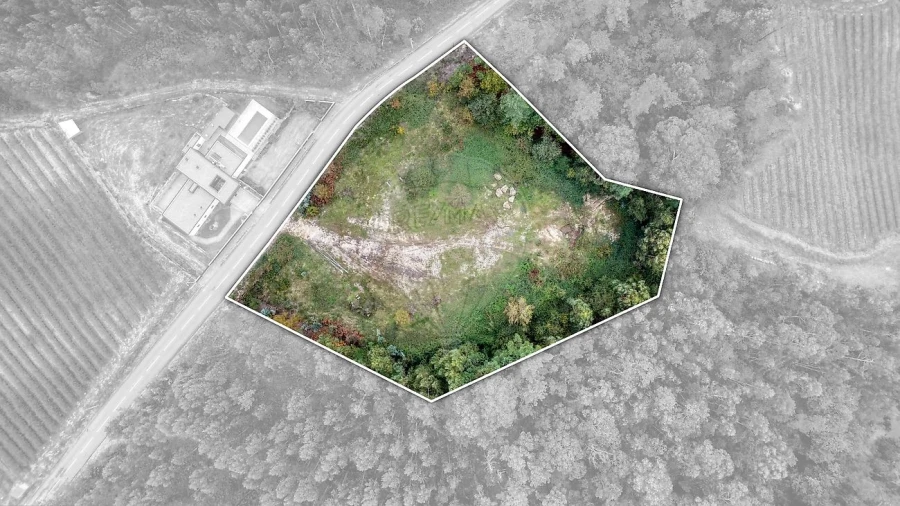 Terreno para Venda em Regadas Foto 14