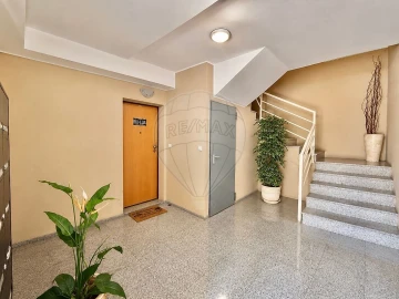 Apartamento T2 para Venda em Campo e Sobrado