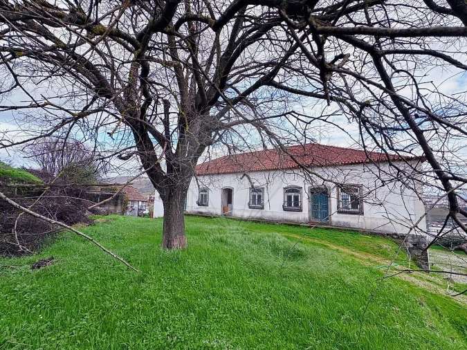 Terreno para Venda em Peso da Régua e Godim Foto 6