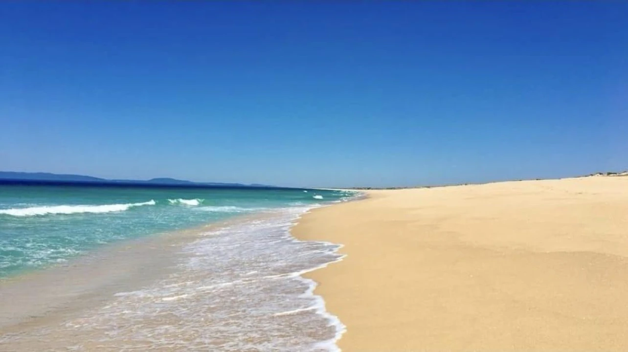 Terreno para Venda em Comporta Foto 2